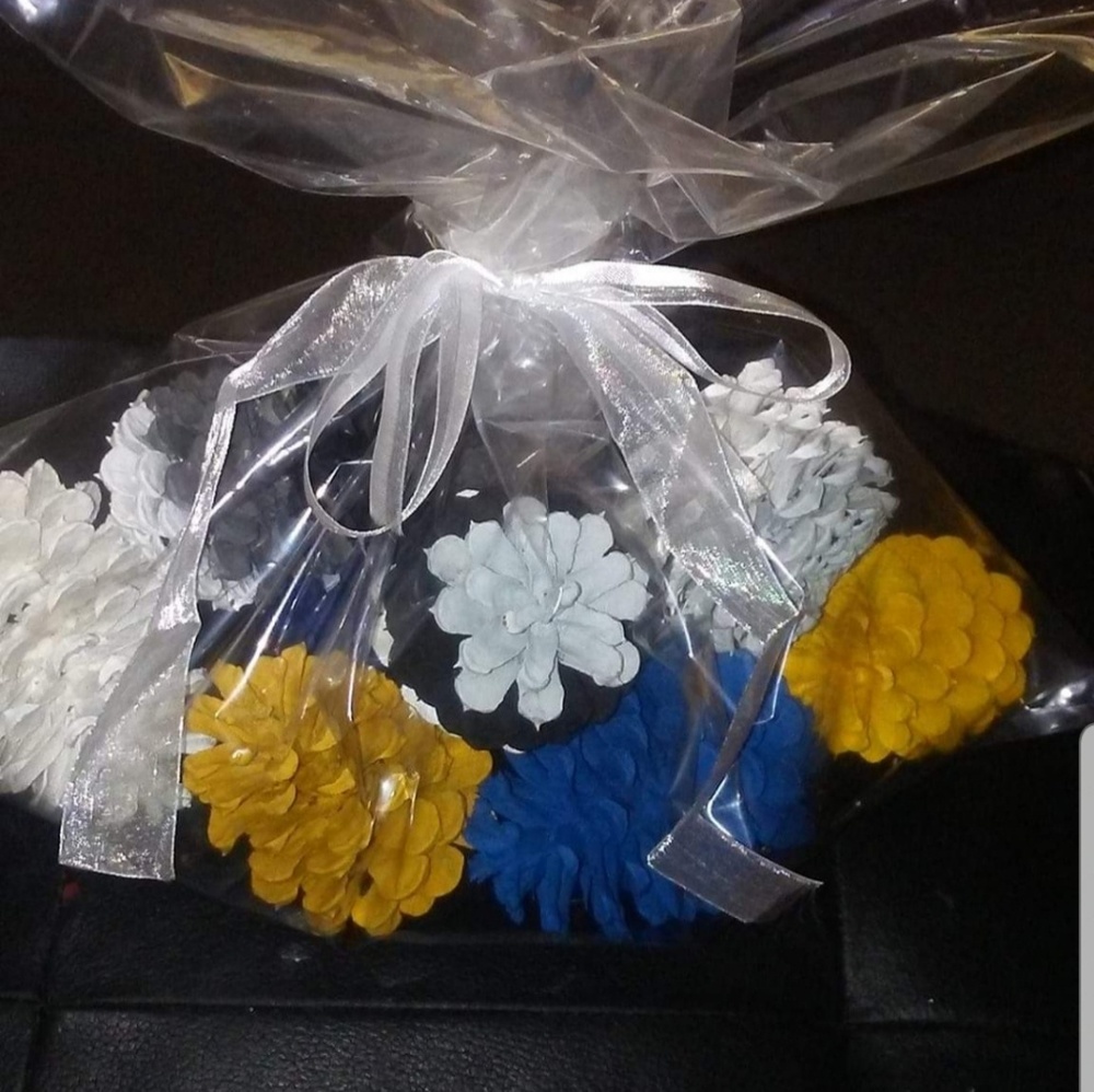Hand painted pinecones